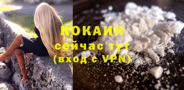 дмт Киреевск