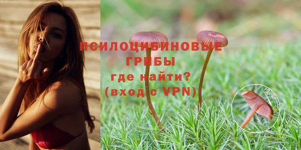 дмт Киреевск