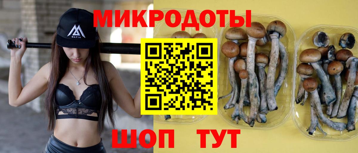 Шадринск  Галлюциногенные грибы мицелий  Псилоцибиновые грибы Psilocybe  Вход с VPN 